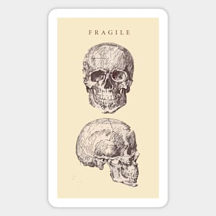 Fragile Skull Magnet